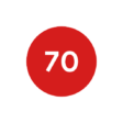 Red Circle 70 Icon